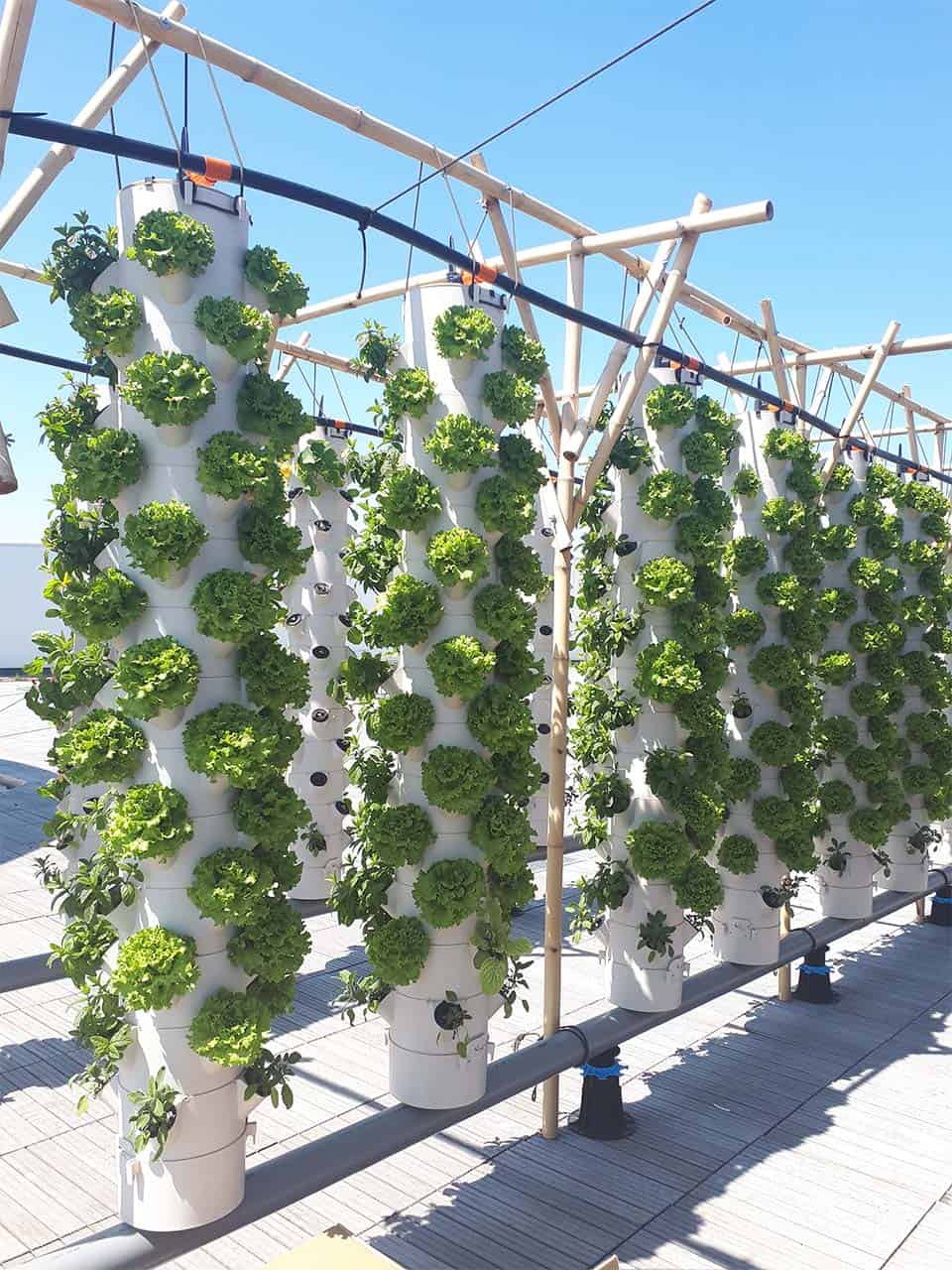 PVC pipes help make world’s largest urban garden come true | PVC4Pipes